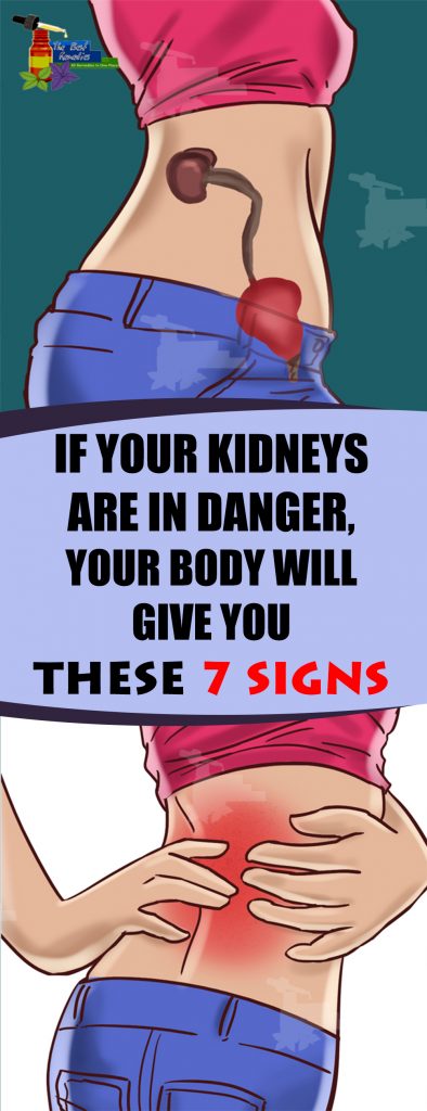 For your health, the kidneys are essential because they detoxify and cleanse the body by filtering 10-150 quarts of blood in a day.